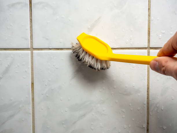 Best Localized Mold Remediation (e.g., coastal areas, humid climates) in University, FL